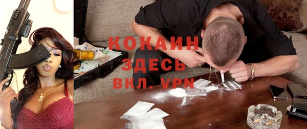 дурь Алексин