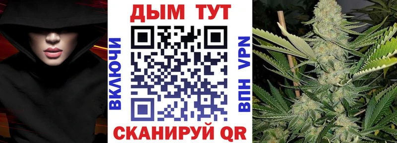 купить закладку  Берёзовка  Бошки марихуана THC 21% 